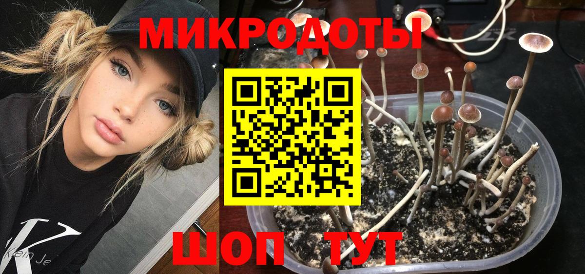 Новороссийск  Галлюциногенные грибы Cubensis  Вход с VPN 